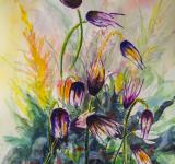 Josef Pepíno Balek, akvarel, Kvetoucí krása